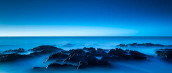 PZ Sprinkle Blends - Full Inventory Found on LinkTree