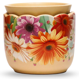 Simmer Pots - Simmer Lights - Shades - Diffusers