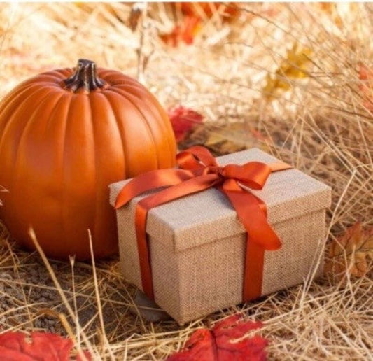 !Fall/Halloween Mystery Bags/Boxes - Live on TikTok!