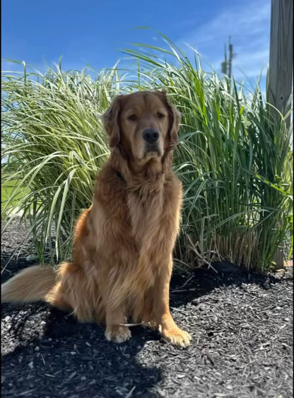 PZ Sprinkle Blends - Full Inventory Found on LinkTree