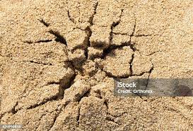 PZ Sprinkle Blends - Full Inventory Found on LinkTree