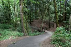 PZ Sprinkle Blends - Full Inventory Found on LinkTree